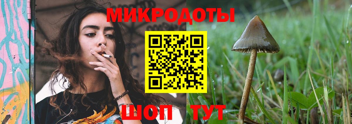 Псилоцибиновые грибы GOLDEN TEACHER Златоуст